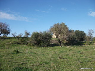 tapiccola-13-01-2013 10-01-44